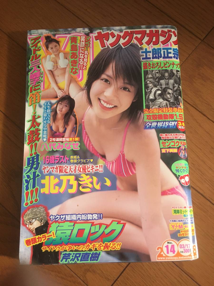 ヤングマガジン北乃きい水着ビキニ 青島あきなセクシー水着ビキニ の落札情報詳細 ヤフオク落札価格情報 オークフリー スマートフォン版