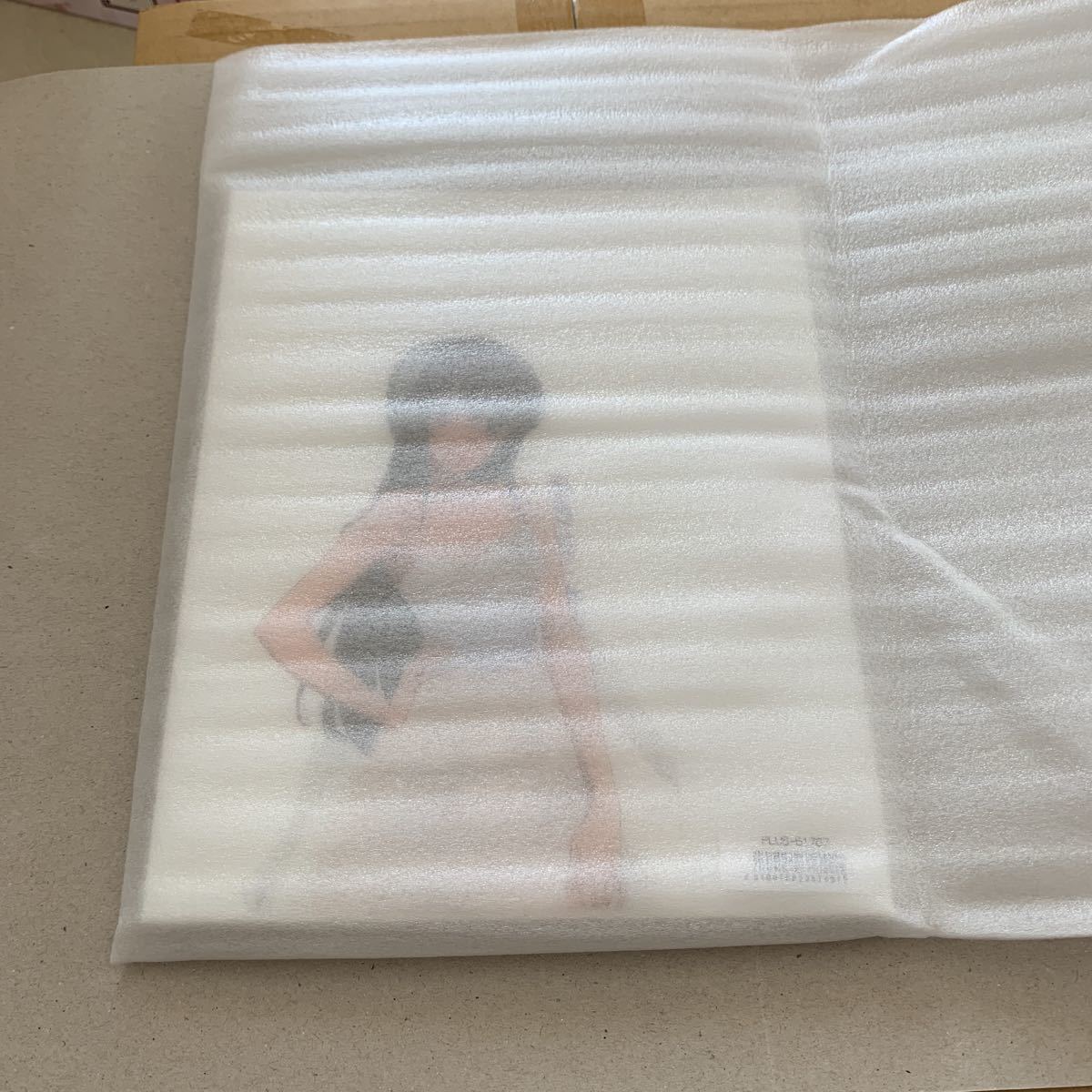 新品】特典のみ 新品 未開封 牧之原翔子 桜島麻衣 ウエディングver  