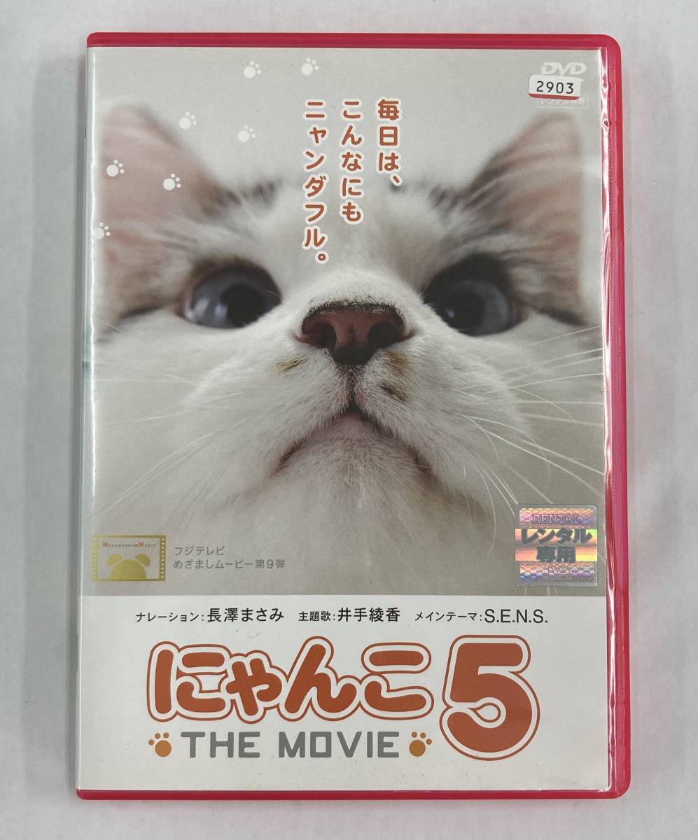 Vdw にゃんこ The Movie 5 Dvd レン落 送料無料 の落札情報詳細 ヤフオク落札価格情報 オークフリー スマートフォン版 Vdw にゃんこ The Movie 5 Dvd レン落 送料無料 の落札情報詳細 ヤフオク落札価格情報 オークフリー スマートフォン版
