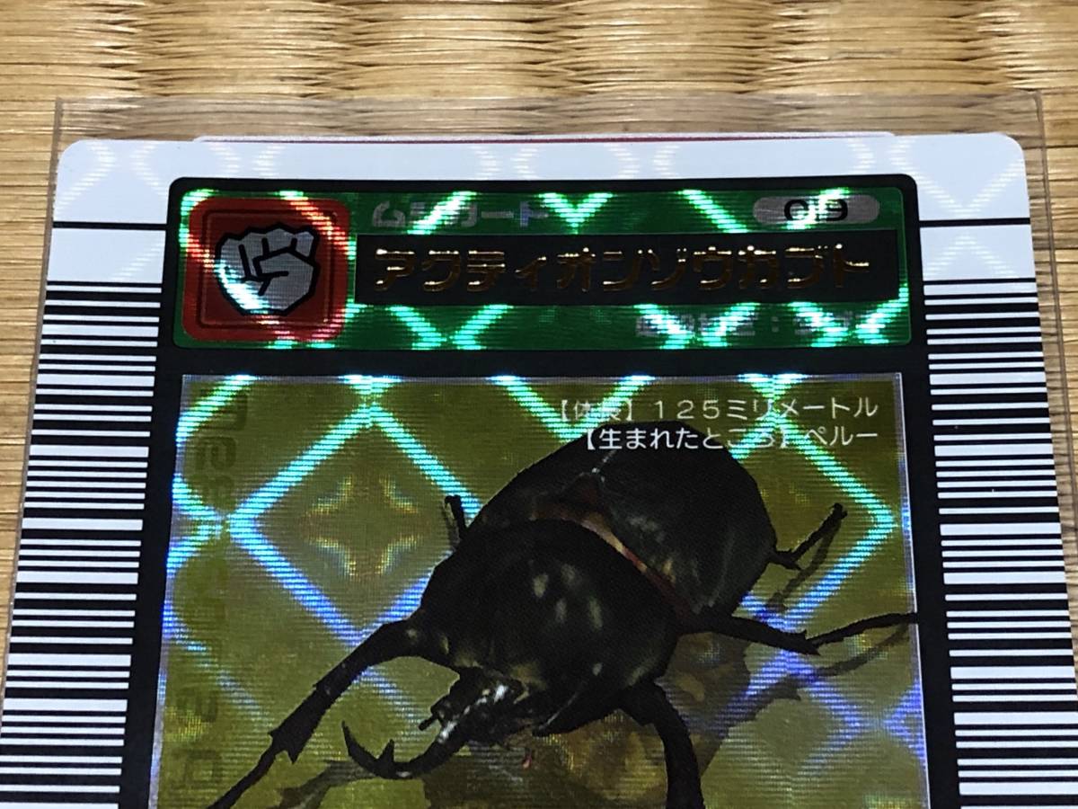 甲虫王者ムシキング 2003年夏 金レア つよさ200 アクティオン
