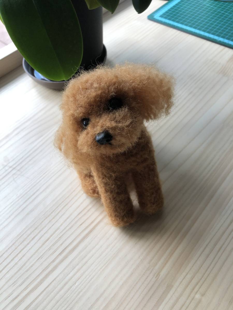 割引 羊毛フェルト ダークレッド トイプードル おもちゃ 人形 Reciclalurin Com