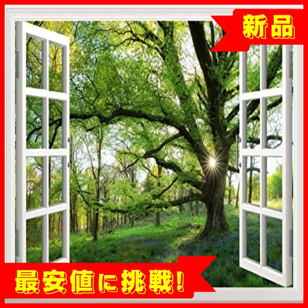 新品 赤字大処分 現品限定 春の森 Rain Queen 絵画風 壁紙ポスター 風景 景色 おしゃれ ウォールステッカー 多用途 の落札情報詳細 ヤフオク落札価格情報 オークフリー スマートフォン版