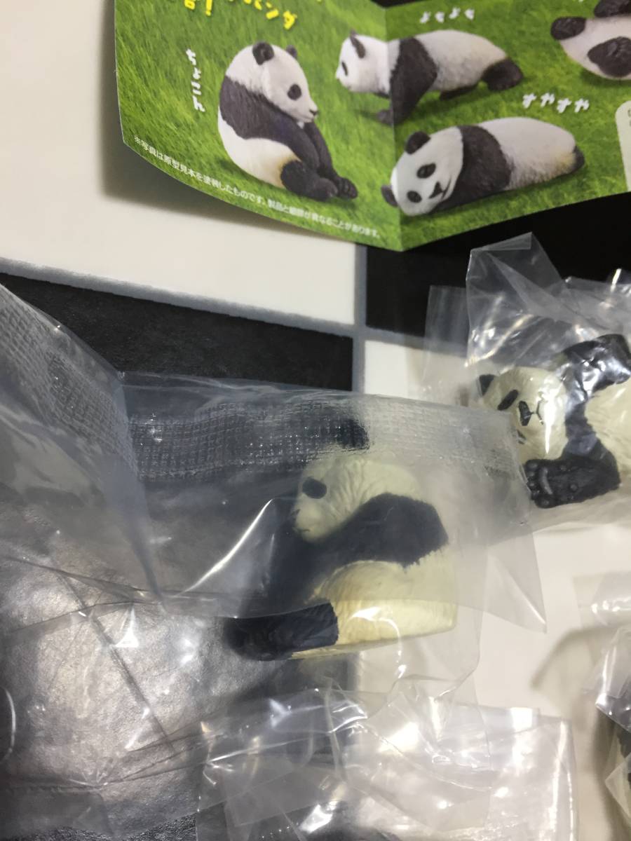 ちびパンダ様甲冑