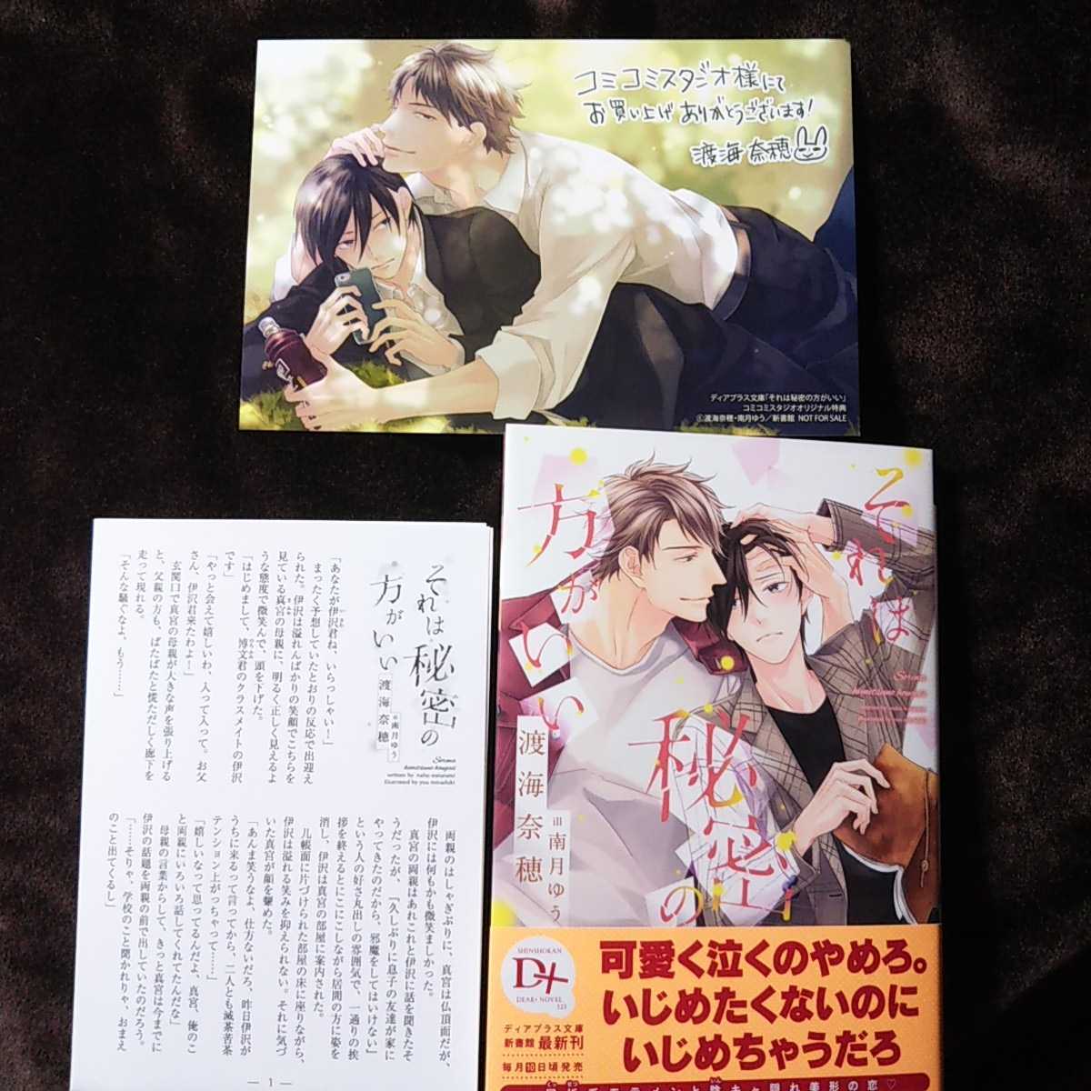 渡海奈穂 南月ゆう 12月新刊ディアプラス それは秘密の方がいい コミコミ特典付き の落札情報詳細 ヤフオク落札価格情報 オークフリー スマートフォン版