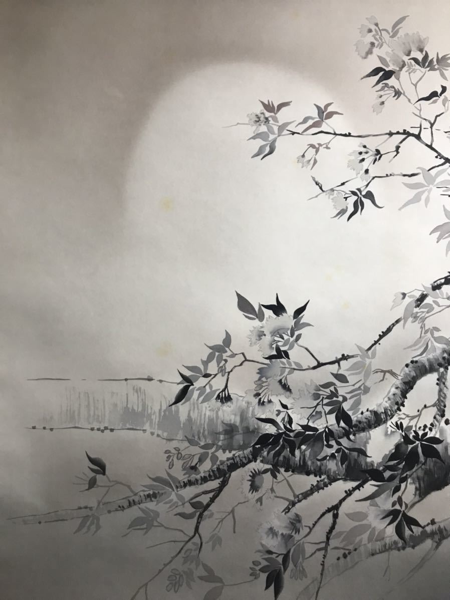 3088 杉浦契雪 「夜桜」 共箱 肉筆 絹本 日本画 掛軸 おもてなし 真作] [S8] 杉浦契雪「夜桜」絹本 肉筆 共箱 春景 花鳥図 風月