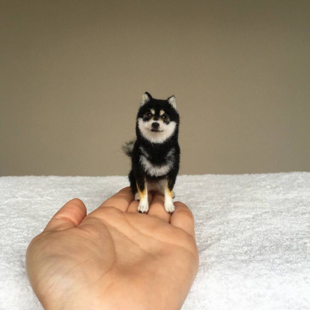 新品】☆羊毛フェルト☆ぴのきち☆8.0cmの黒柴さん☆ 犬 柴犬 黒柴