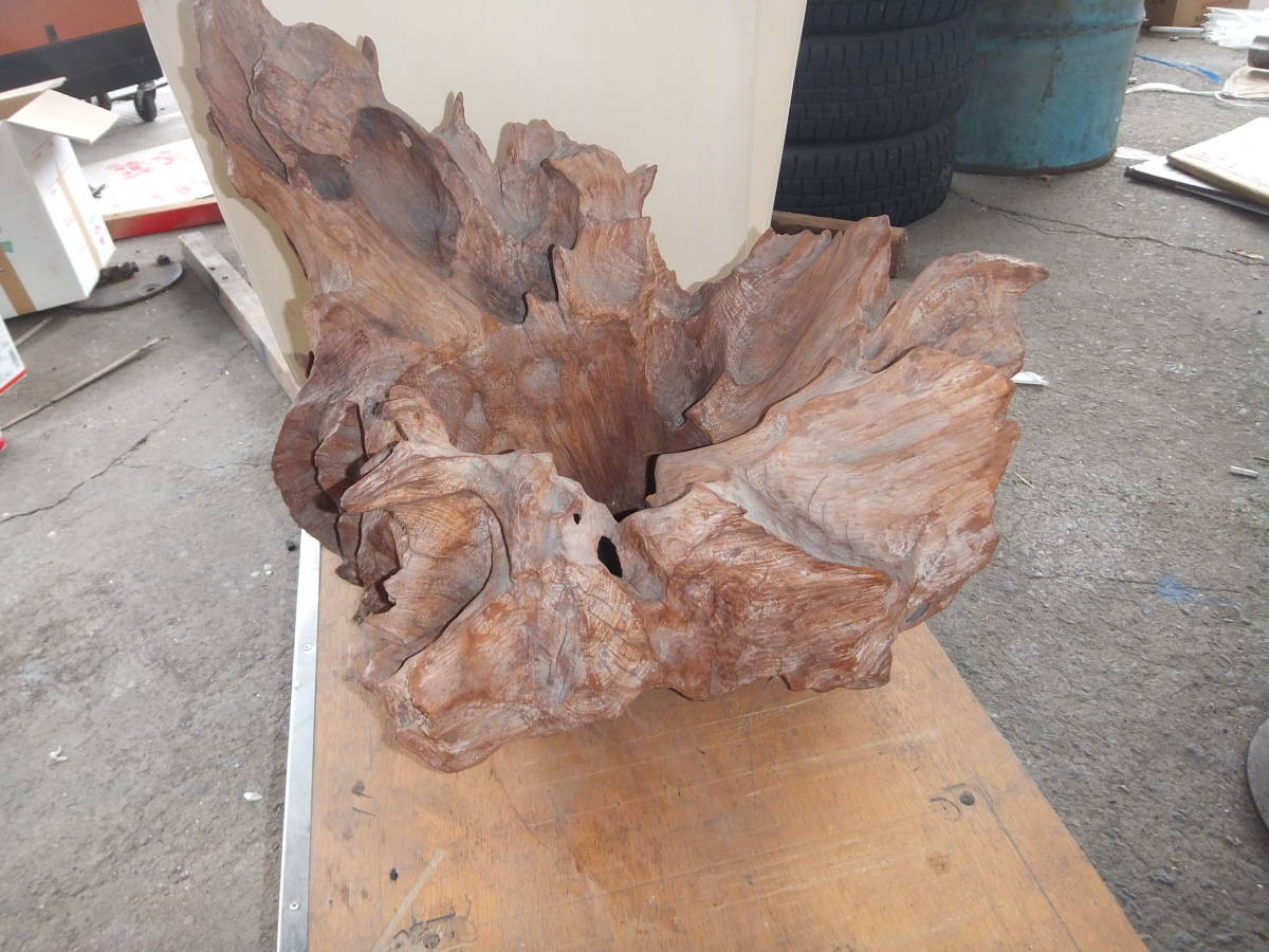 木の置物です アクアリウム オブジェ 飾り木 木の根 コケ 変木 玄関 床の間 茶室 置き物 天然 爬虫類 レイアウト 盆栽 ディスプレイ の落札情報詳細 ヤフオク落札価格情報 オークフリー スマートフォン版