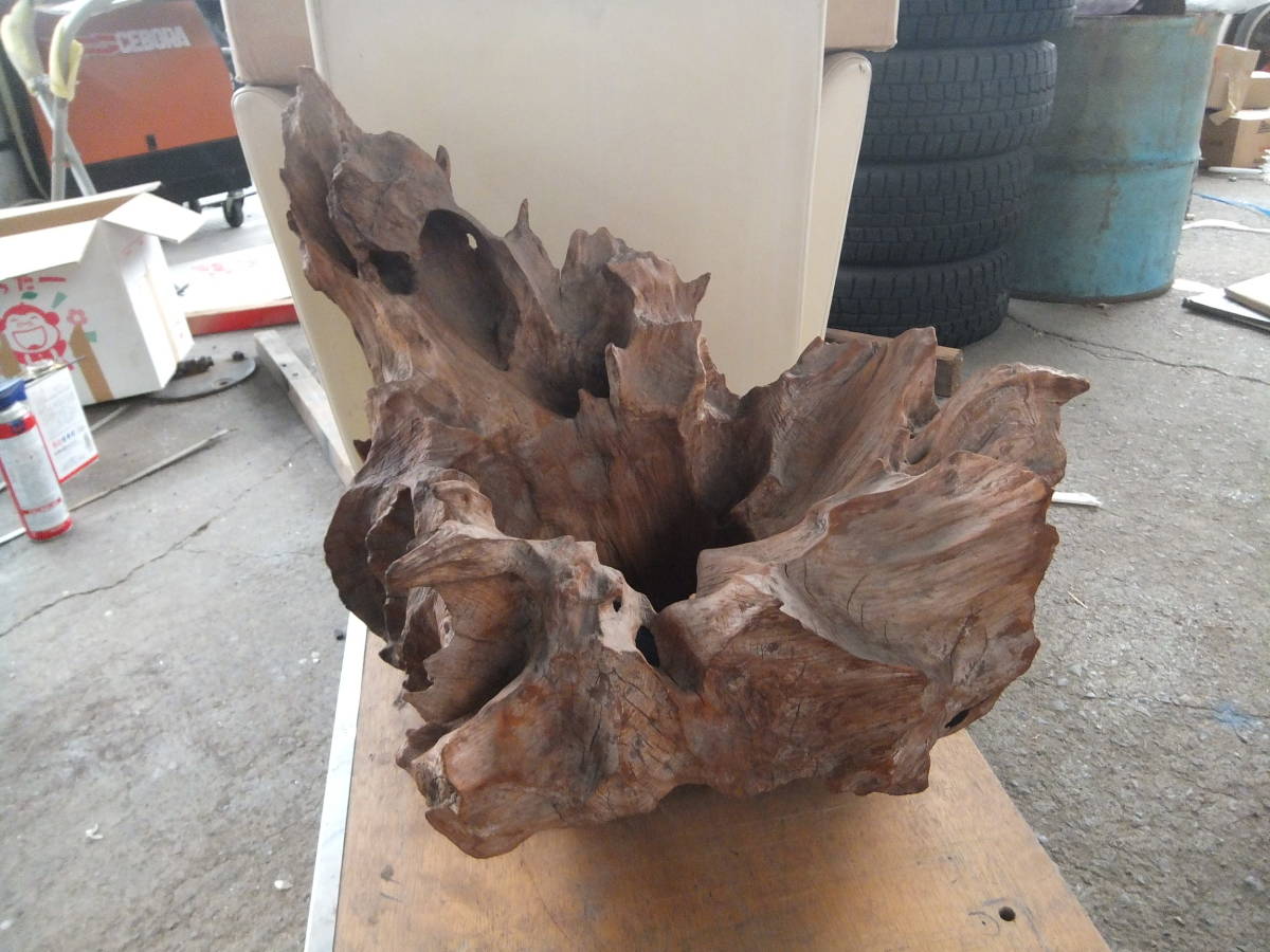 木の置物です アクアリウム オブジェ 飾り木 木の根 コケ 変木 玄関 床の間 茶室 置き物 天然 爬虫類 レイアウト 盆栽 ディスプレイ の落札情報詳細 ヤフオク落札価格情報 オークフリー スマートフォン版