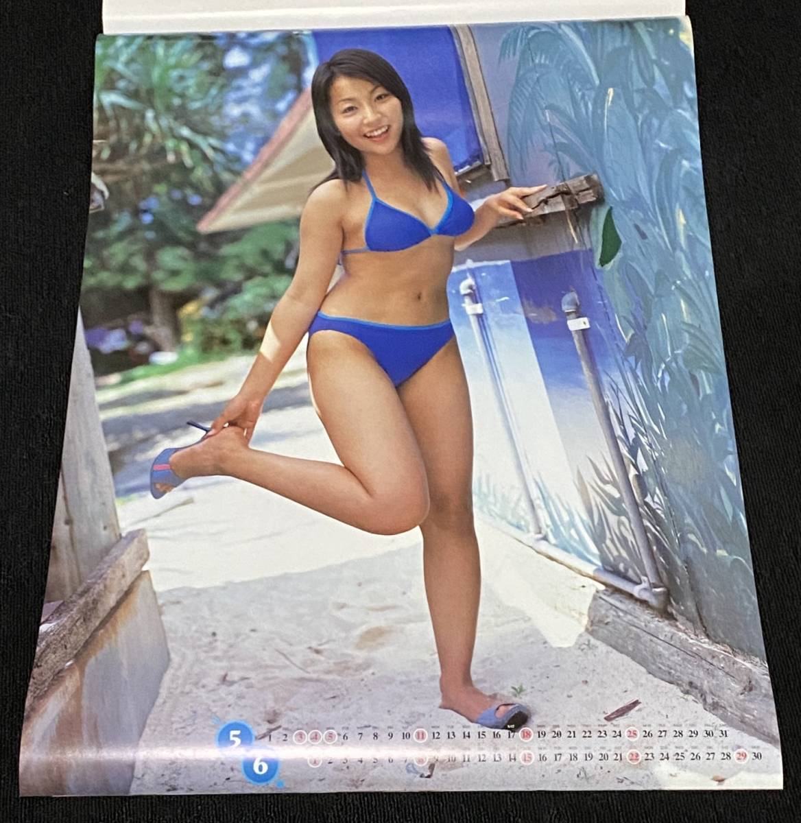 B593/ 鎗田彩野 (立花彩野) カレンダー 2003年 / B2サイズ 水着