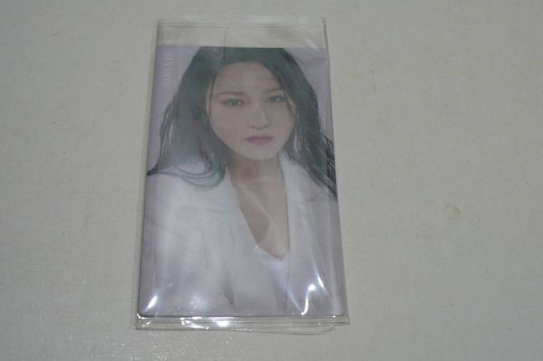 DREAMCATCHER スア The Beginning Of The End トレカ SUA ...