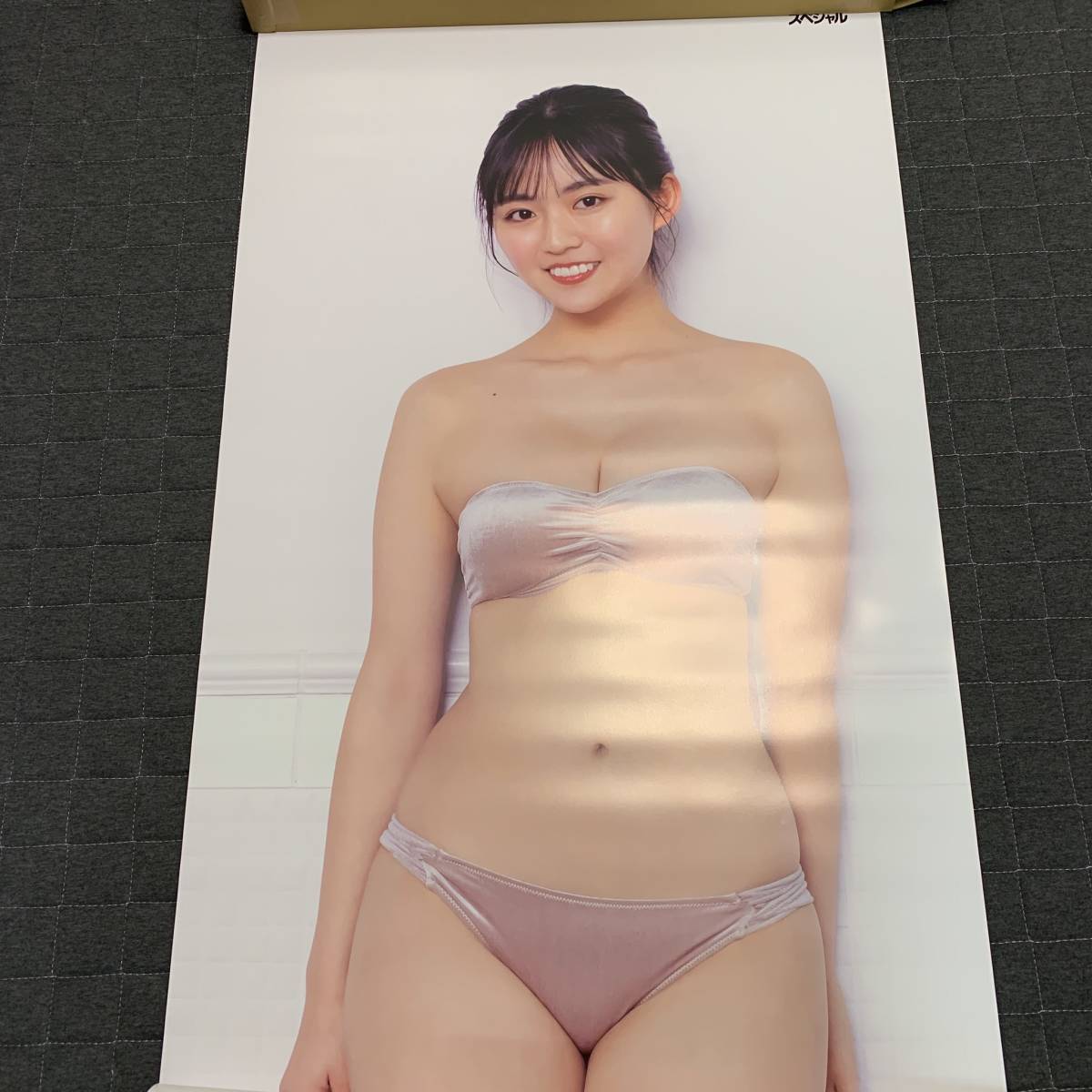 豊田ルナ 等身大ポスター　FLASHスペシャル　入手困難 駿河屋 -<中古>等身大ポスター 豊田ルナ FLASHスペシャル