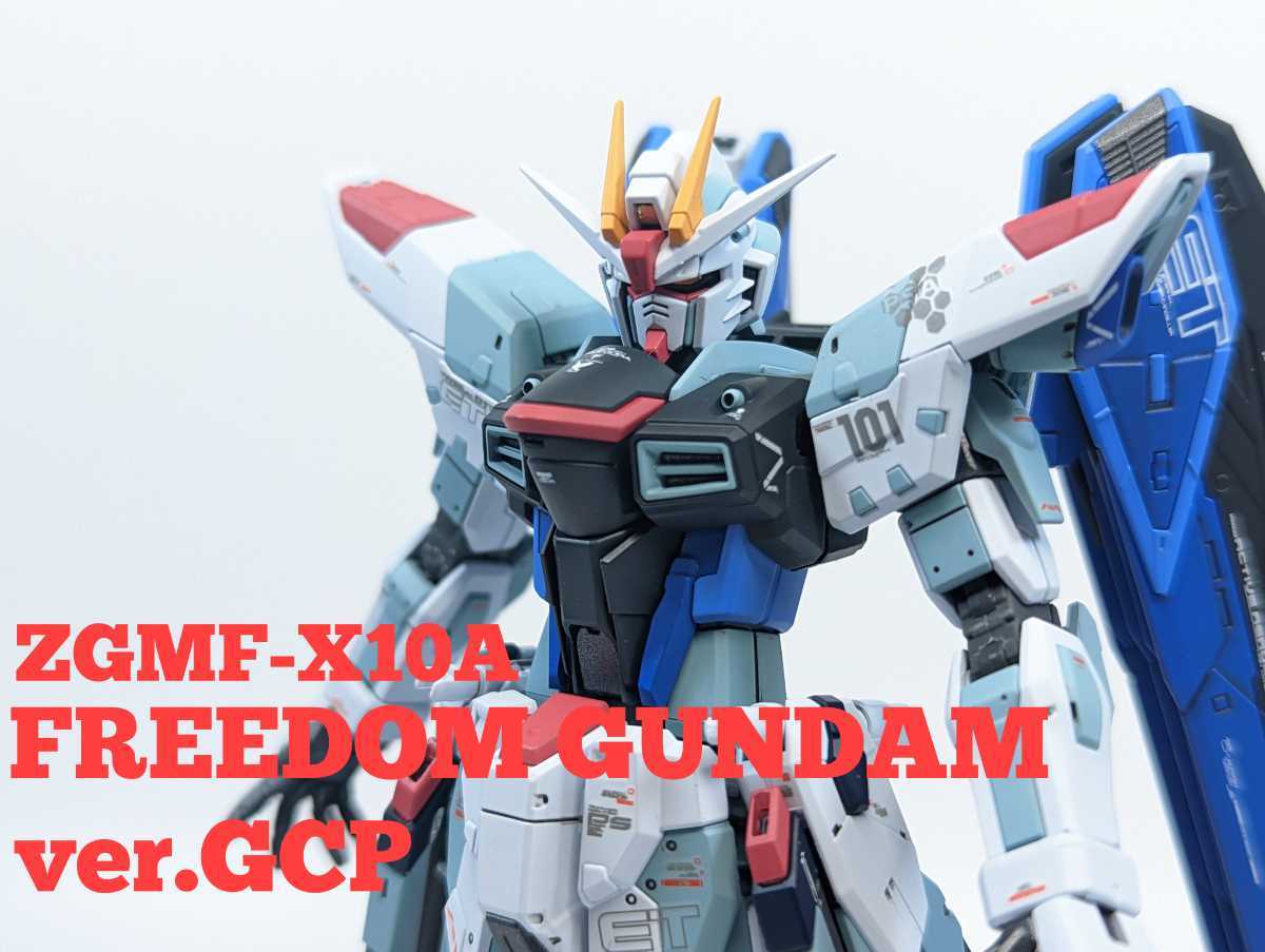 RG フリーダムガンダム Ver.GCP 組立済 ガンダムSEED（目立った