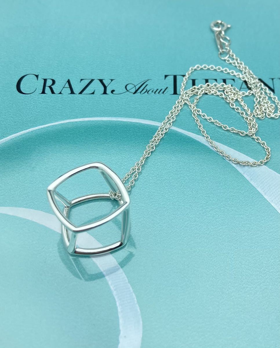 希少]Tiffany×フランクゲーリー/シルバー925ネックレス/巾着付き