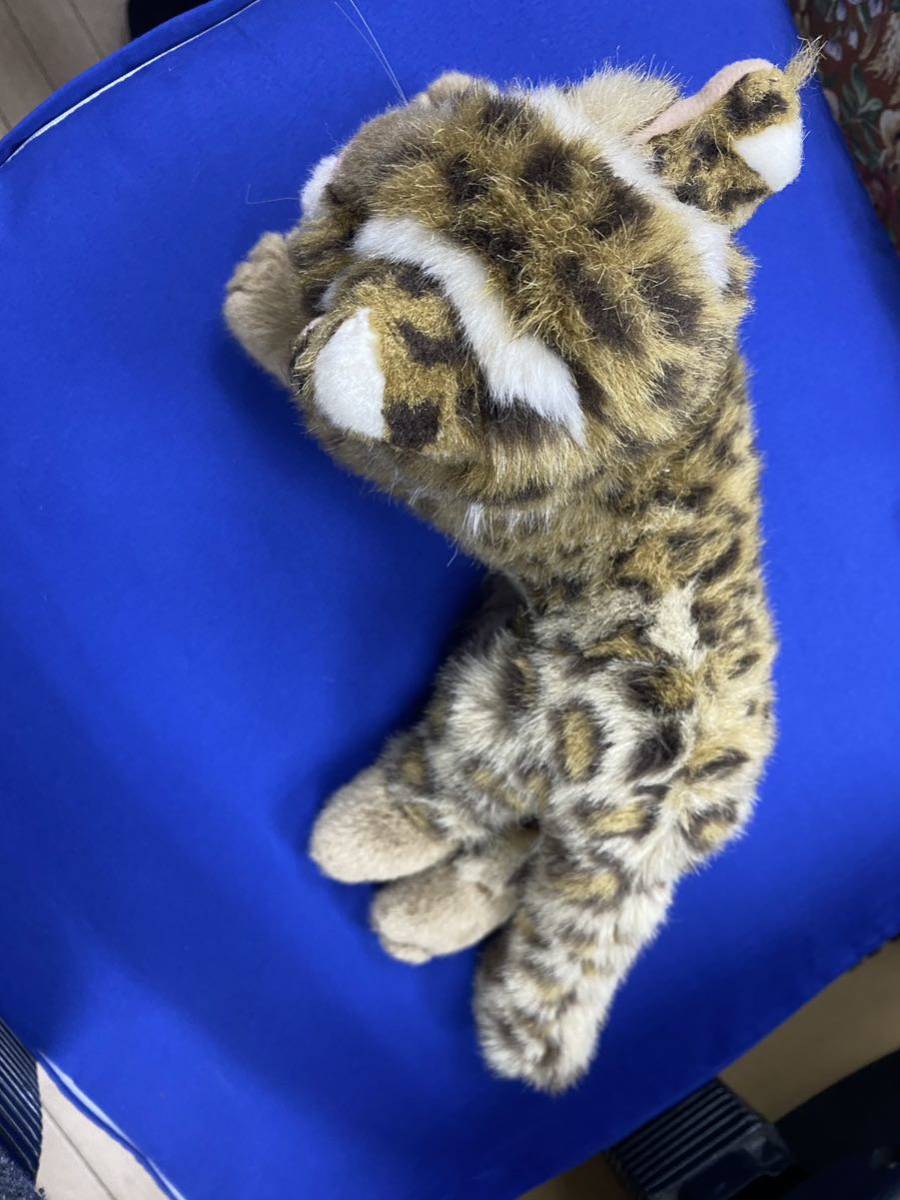 目立った傷や汚れなし】希少レア イリオモテヤマネコ ぬいぐるみ 西表