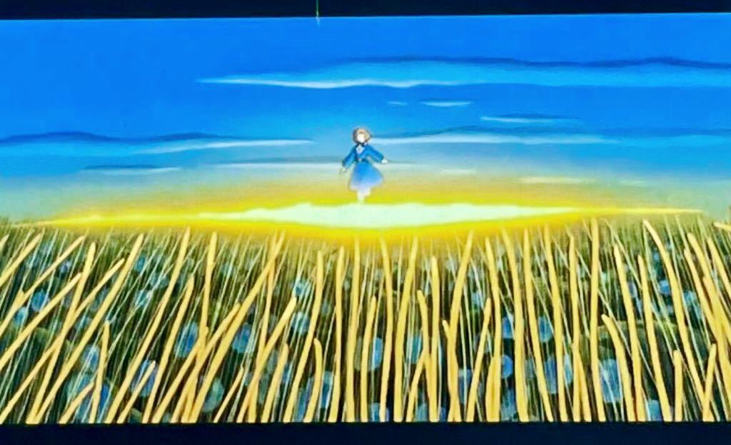 風の谷のナウシカ 金色の野で目覚めるナウシカ 映画フィルム 5コマ