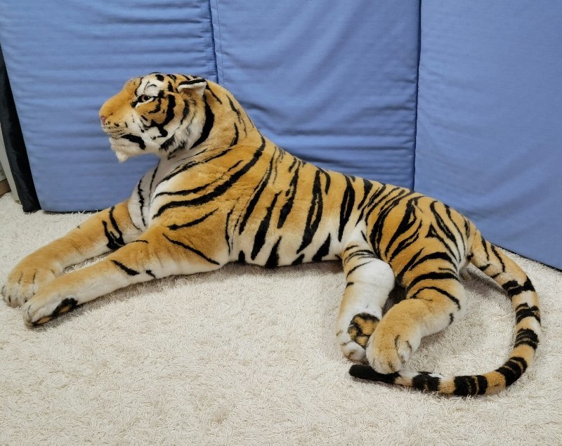 5/16迄】一本木巨大トラ置物