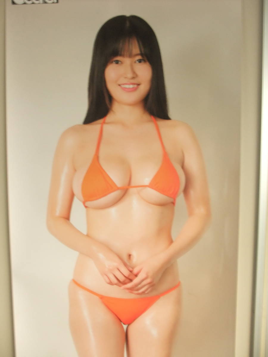 グラビア　アイドル　トレーディングカードまとめ 乙陽葵」ファースト・トレーディングカード 2023年5月13日発売