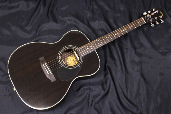 ライダー アコースティックギター Rider by Headway RF-1 ハードケース