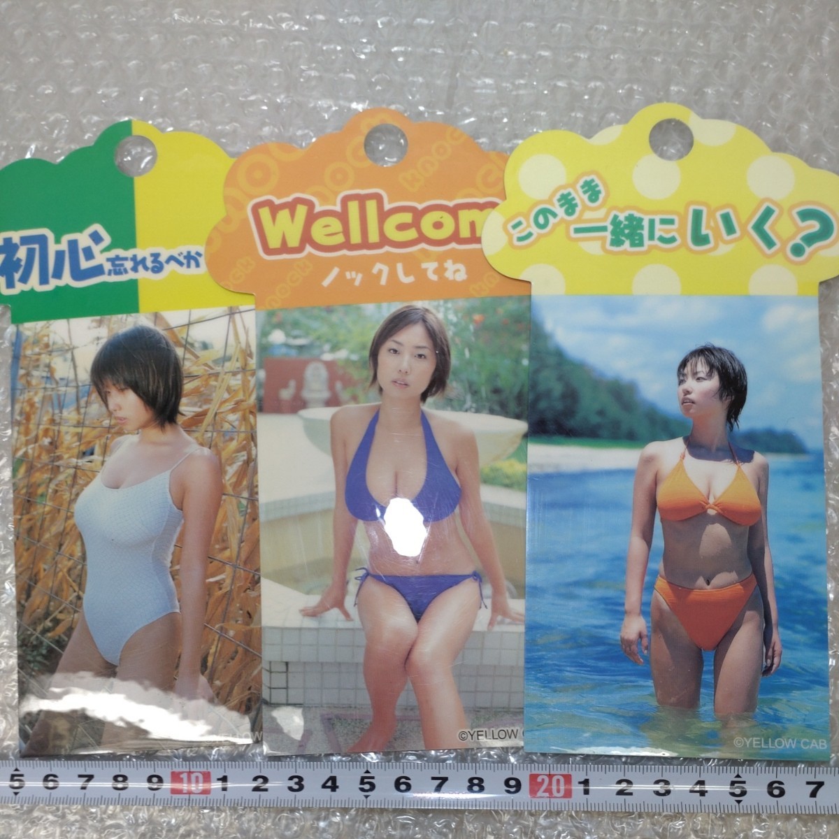 未使用】6種小池栄子MEGUMI佐藤江梨子ドアノブサインプレート?車の