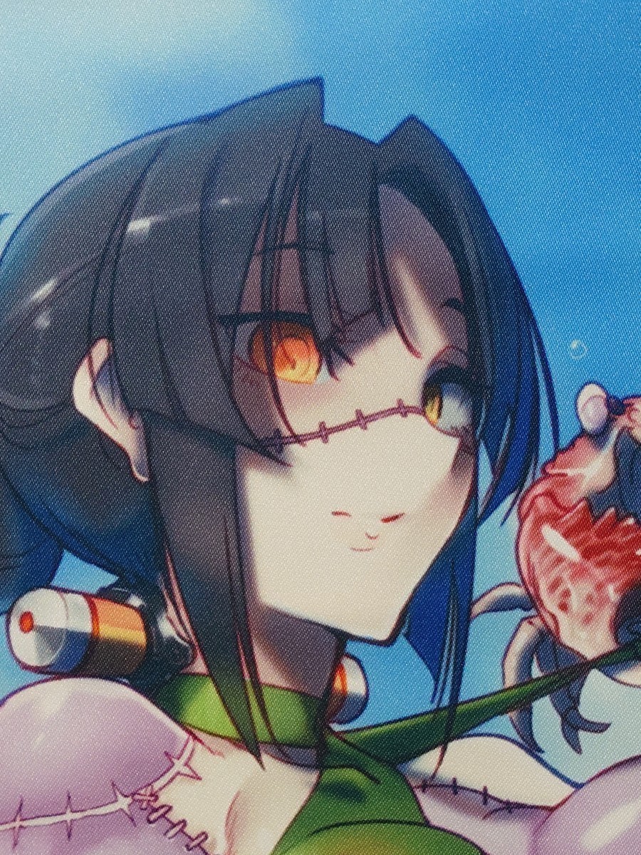 未使用に近い】モンスター娘のお医者さん 1巻『メロンブックス有償特典 