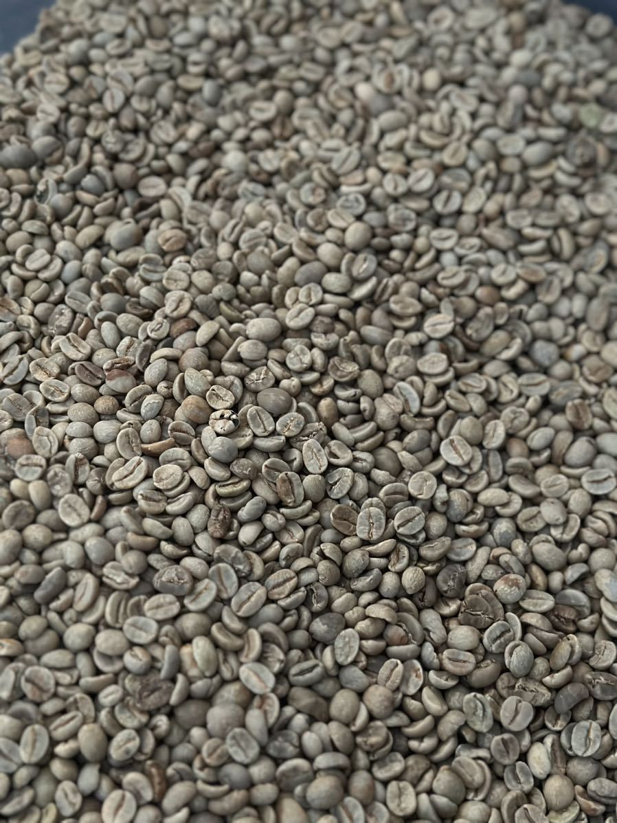【コーヒー生豆】グアテマラ SHB 5kg ※送料無料！ コーヒー生豆】グアテマラSHB 5kg ※送料無料！！ 200g