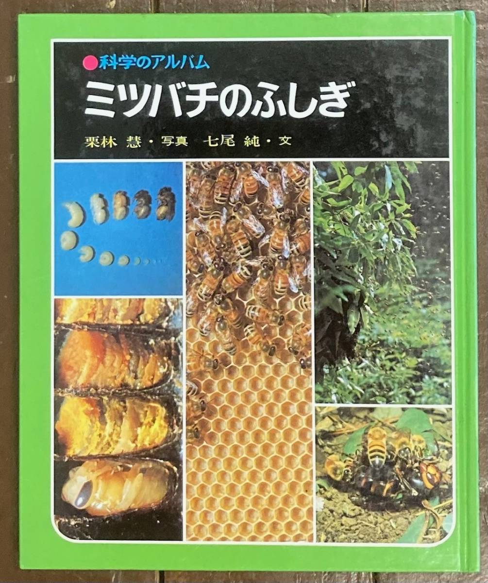 日本ミツバチの百花蜜1000g3本
