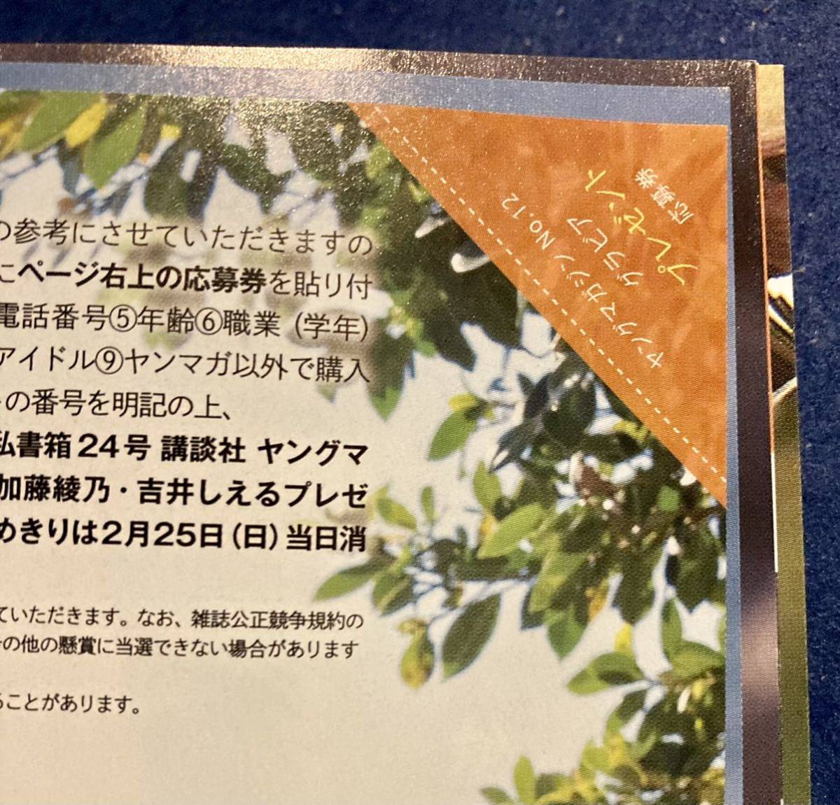 未使用】ヤングマガジン2024年12号 ミスマガ2023特集 林田真尋 堀  