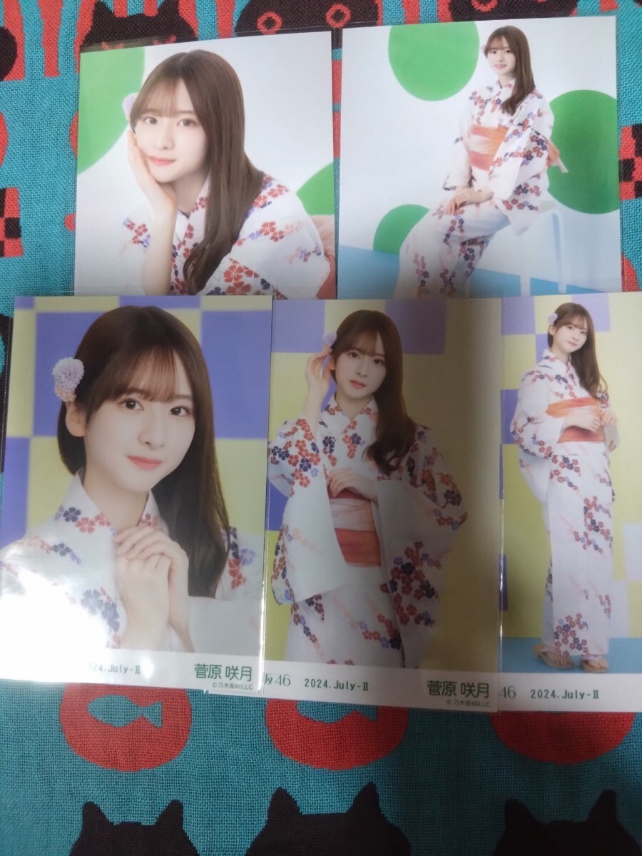 乃木坂46 忍び込ん カレンダー2024直筆生写真（菅原咲月/池田瑛紗） 