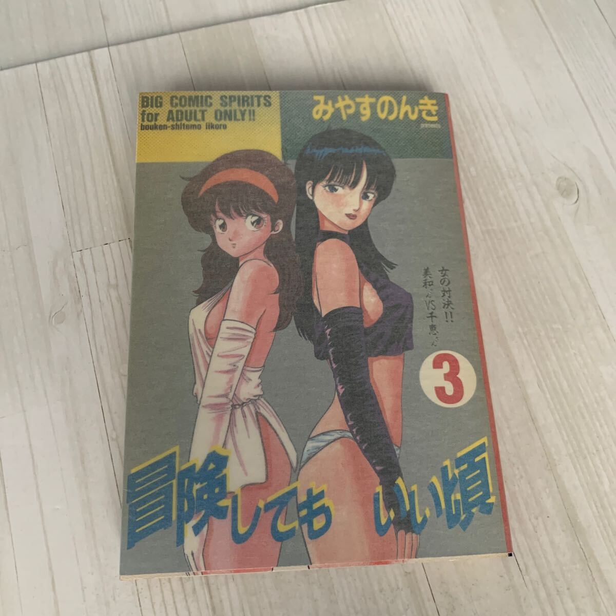 未使用】みやすのんき先生原作 アニメ『冒険してもいい頃』 若葉美和 