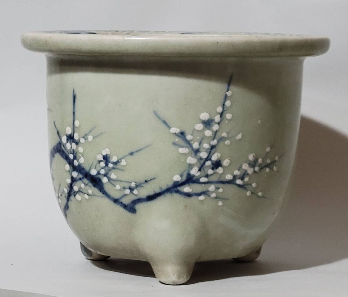 尾張焼 花鉢 梅 古美術