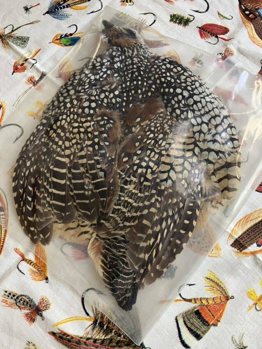 フライフィッシング用 フライマテリアル 鳥の羽根 フライフィッシング