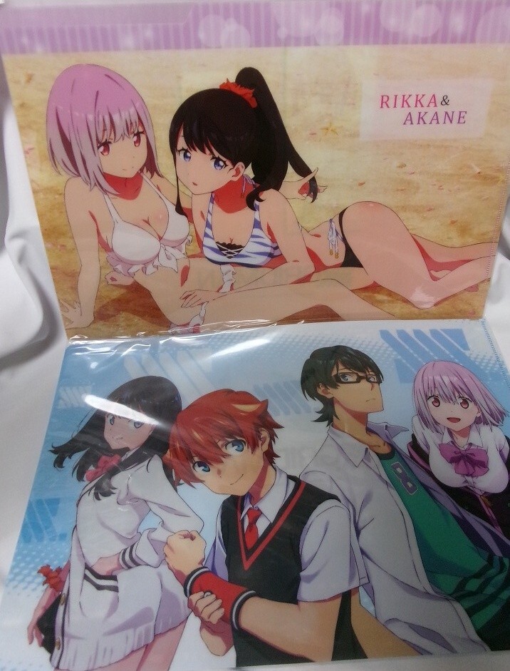 グリッドマン ドンキホーテコラボ クリアファイル2枚 宝田六花&新条アカネ 新品】【迅速丁寧】クリアファイル2枚組 宝田六花Ver． ドン