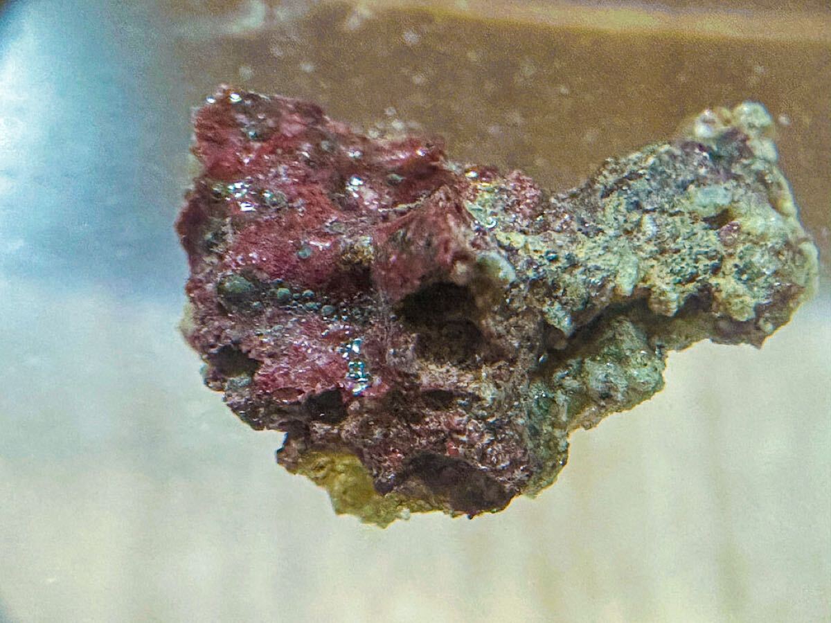 【超激レア】赤いトリニタイト / Trinitite の大型標本 高次元構造体の準結晶 核実験人工鉱物 原爆歴史 溶けた砂のガラス 戦争, 戦時中資料の1番目の画像