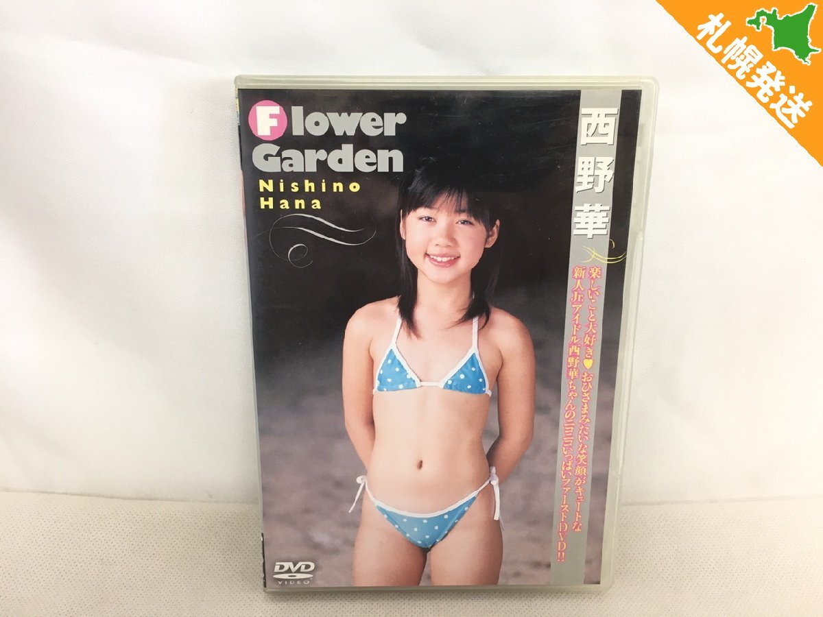 西野華 flower way　DVD 西野華 DVD flower Way