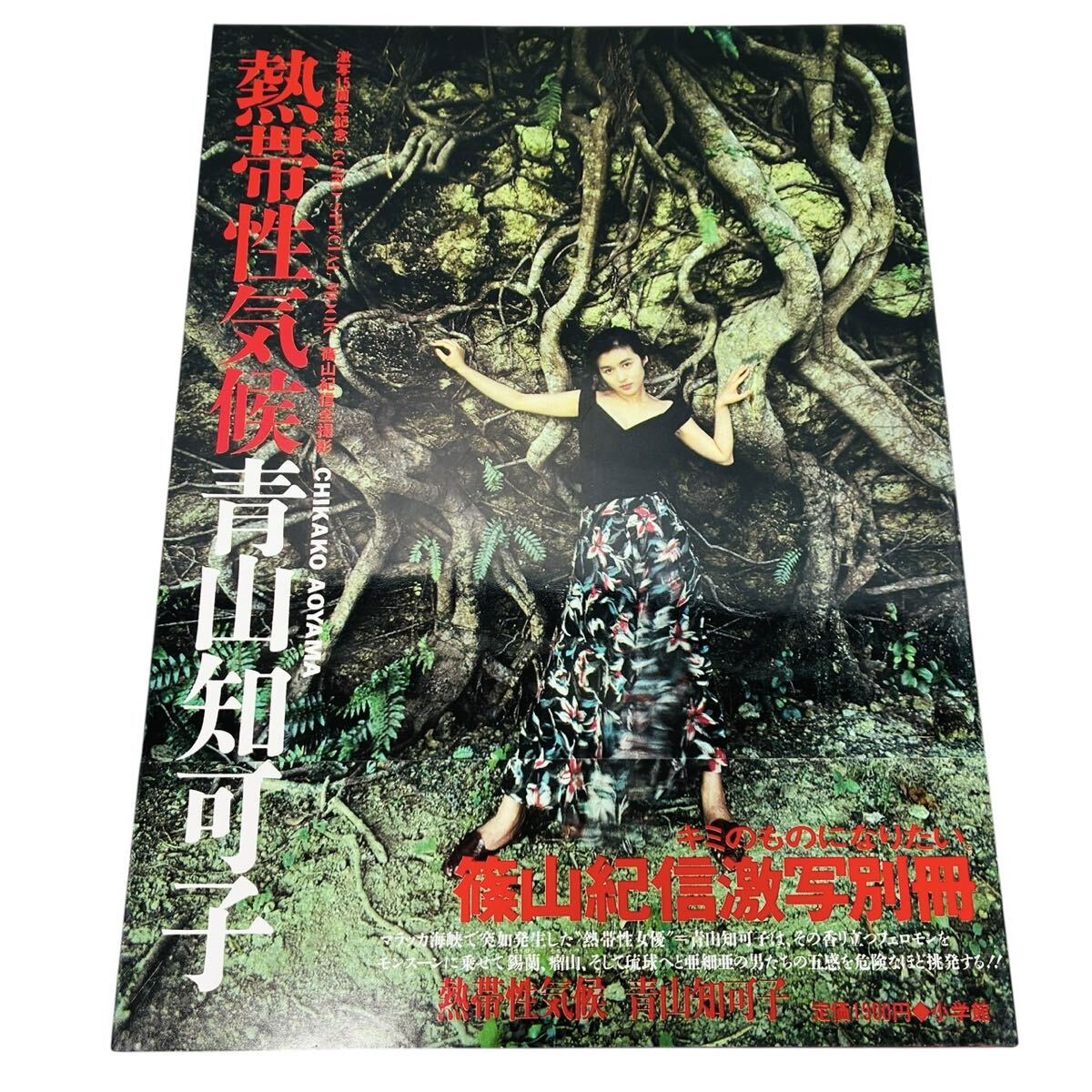 ☆青山知可子写真集☆ 熱帯性気候 激写15周年記念 【篠山紀信全撮影