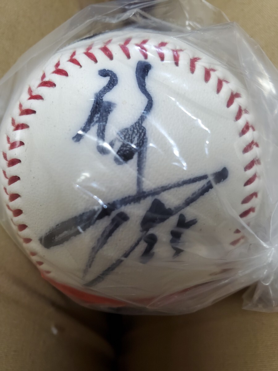 広島カープ時代】新井貴浩支給ミズノプロ バッティンググローブ 【公式
