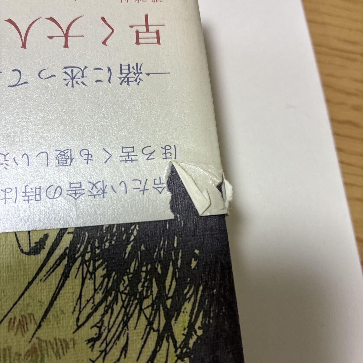 新品】辻村深月『ツナグ 想い人の心得』初版・帯・サイン・落款・未読
