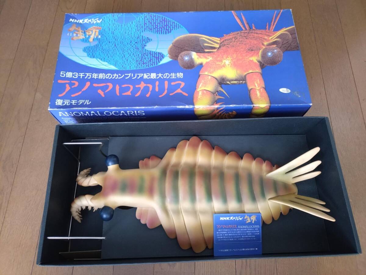 アノマロカリス ぬいぐるみ ヒグチユウコ ニャンコ アノマロの落札情報