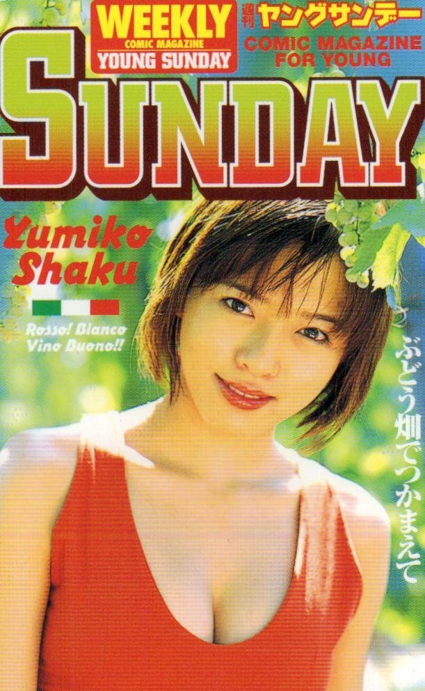 週刊ヤングサンデー 2004年No.27 グラビア切り抜き 綾瀬はるか ケディ