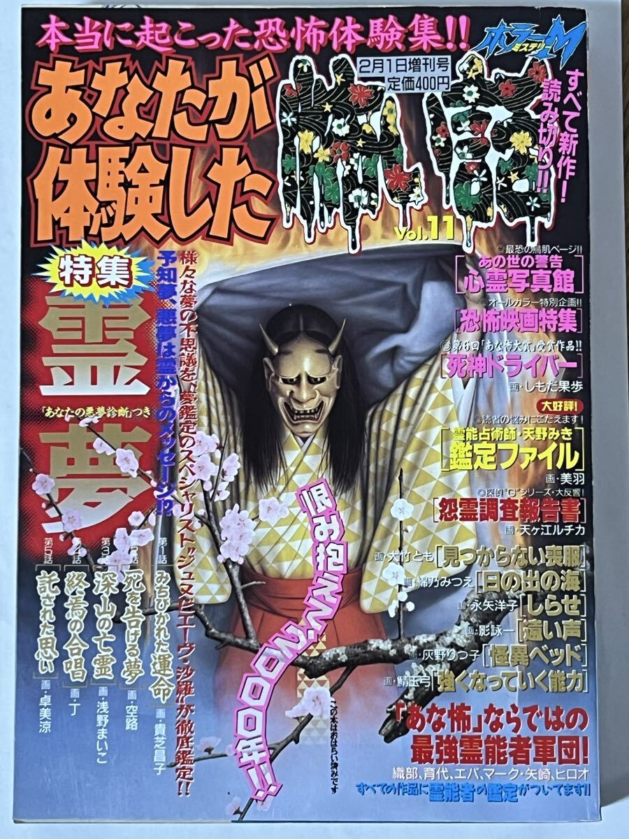 月刊ホラーM 12月号 1994 谷間夢路 神田森莉 はづき蓮子 長田ノオト 御