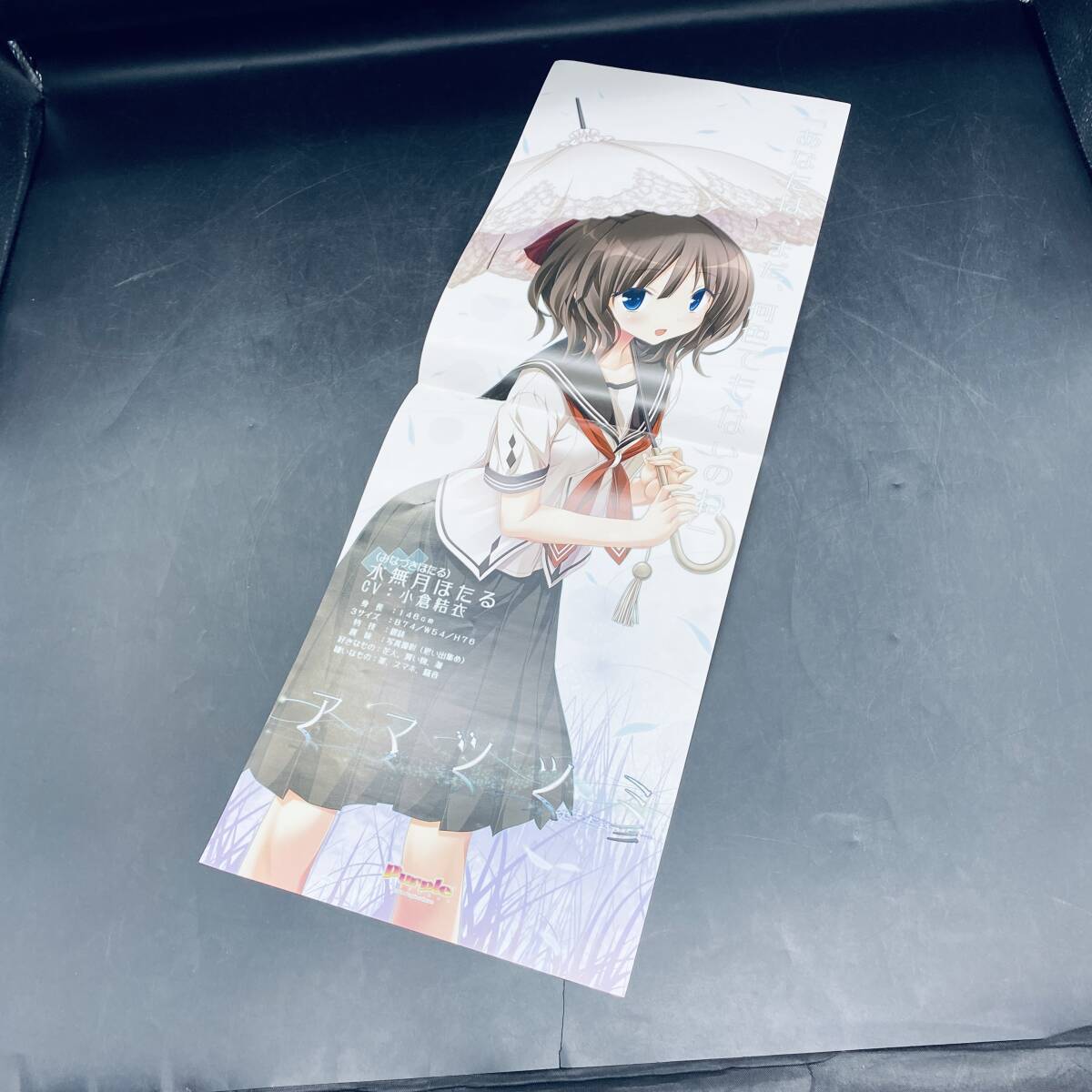 新品】有栖3Dポスター ハピメア アマツツミ アオイトリ 克 月杜尋