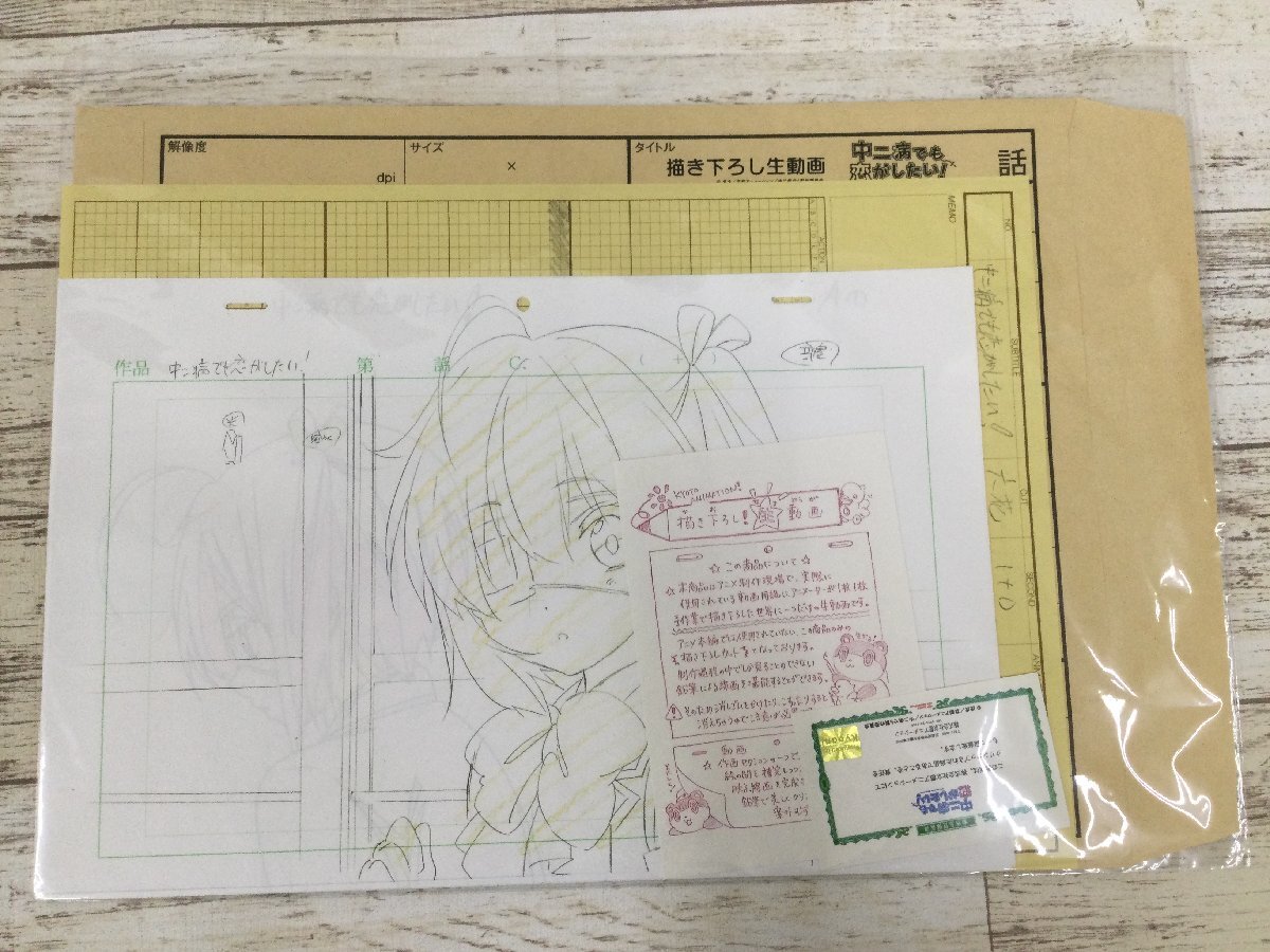 新品】描き下ろし 生動画 京アニショップ 中二病でも恋がしたい 小鳥遊