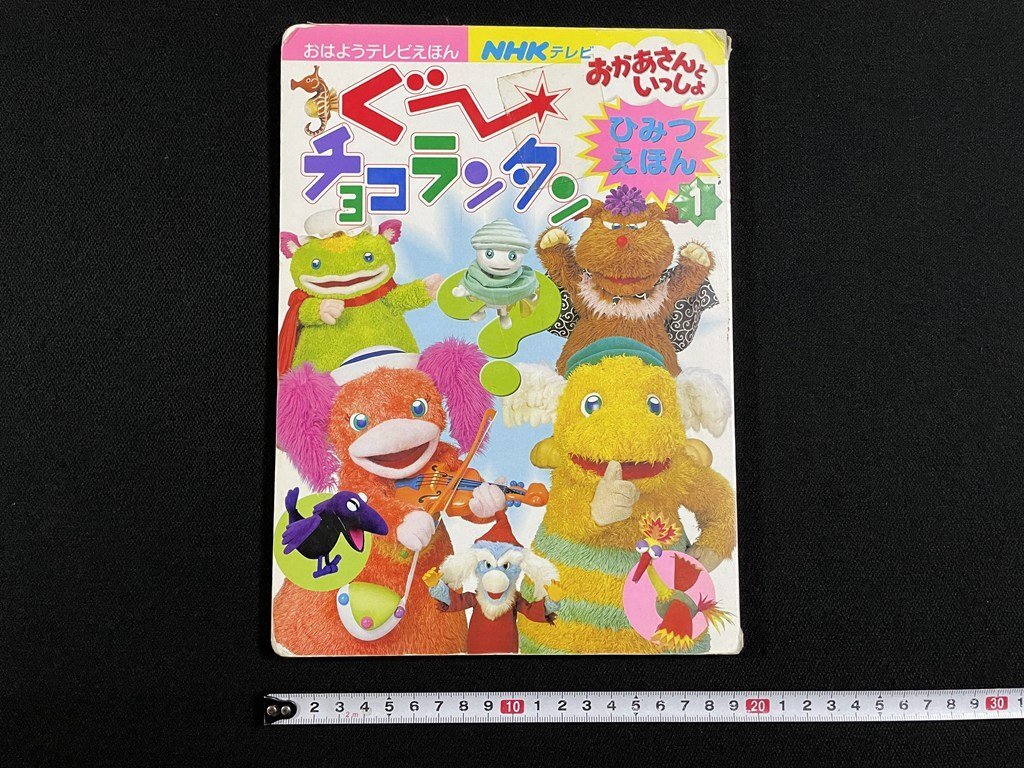 DVD NHKおかあさんといっしょ 夏のプレゼント 森の音楽会 「ぐ～チョコ