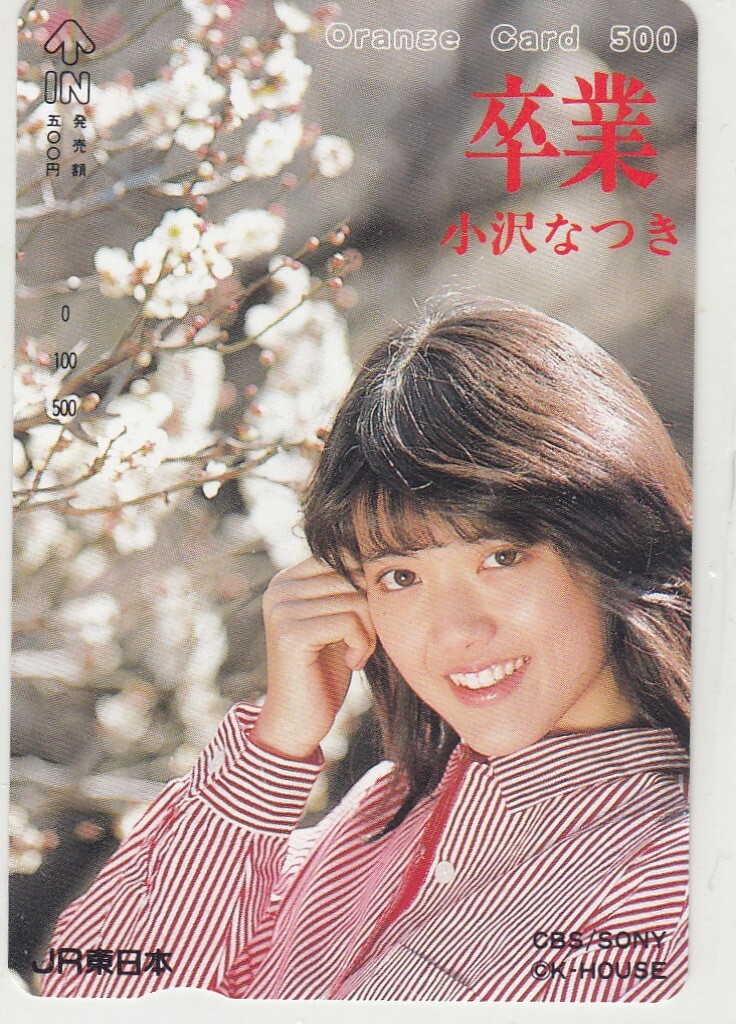 廃盤DVD ZERO WOMAN ゼロウーマンⅡ 警視庁0課の女 小沢なつき 国内盤 