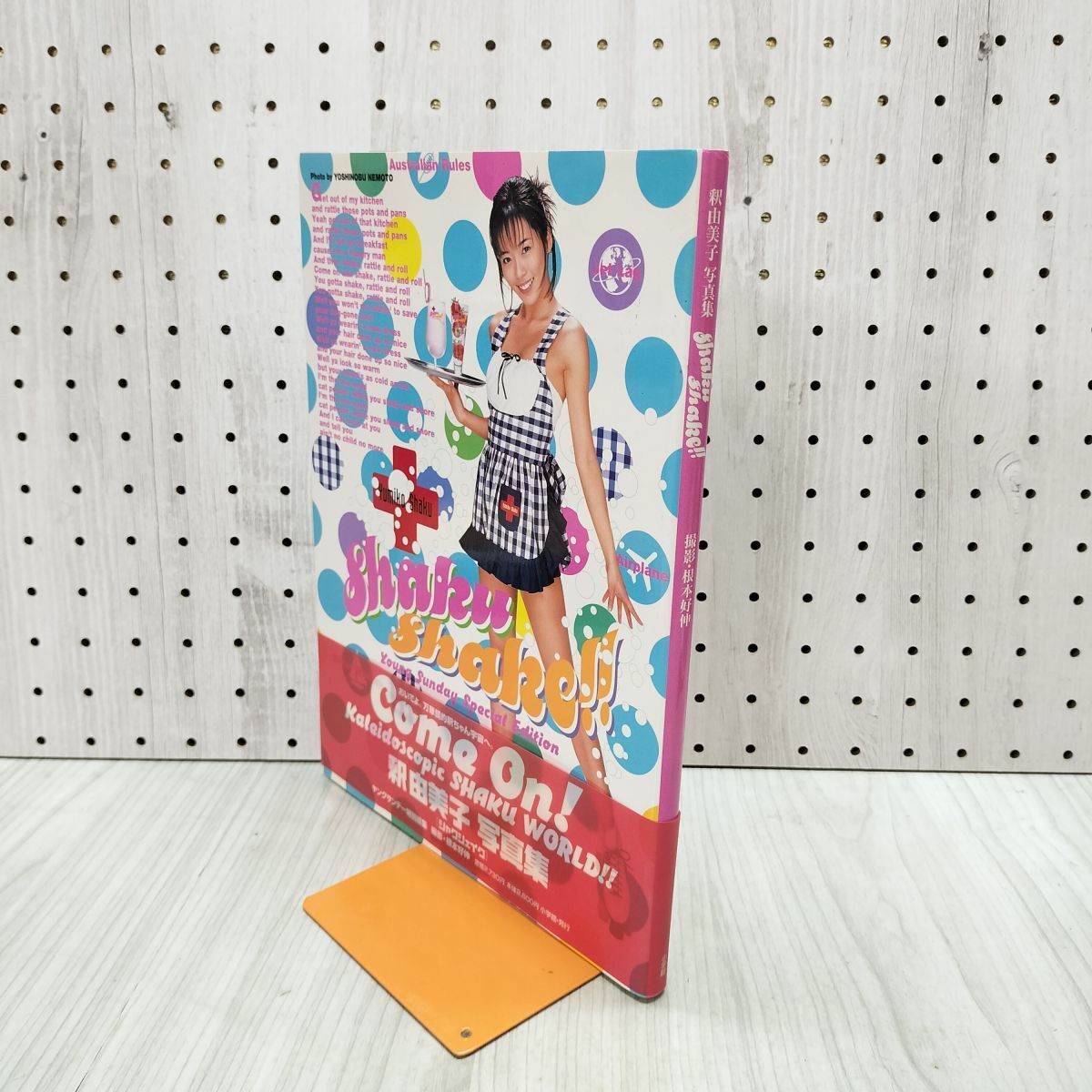 氷室京介 / SHAKE THE FAKE TOUR 1994』非売品ポスター B1判 当時物