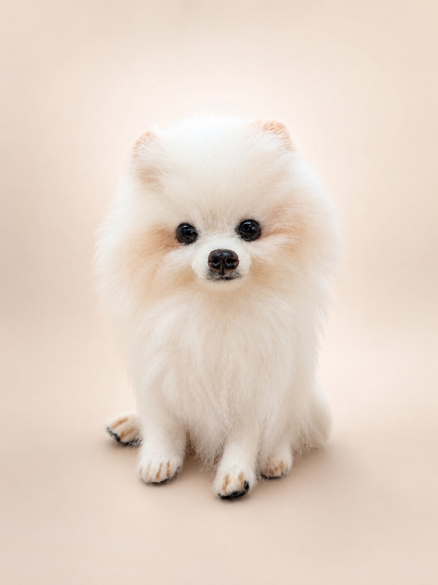 新品】羊毛フェルト ポメラニアン サマーカット ハンドメイド 犬 の
