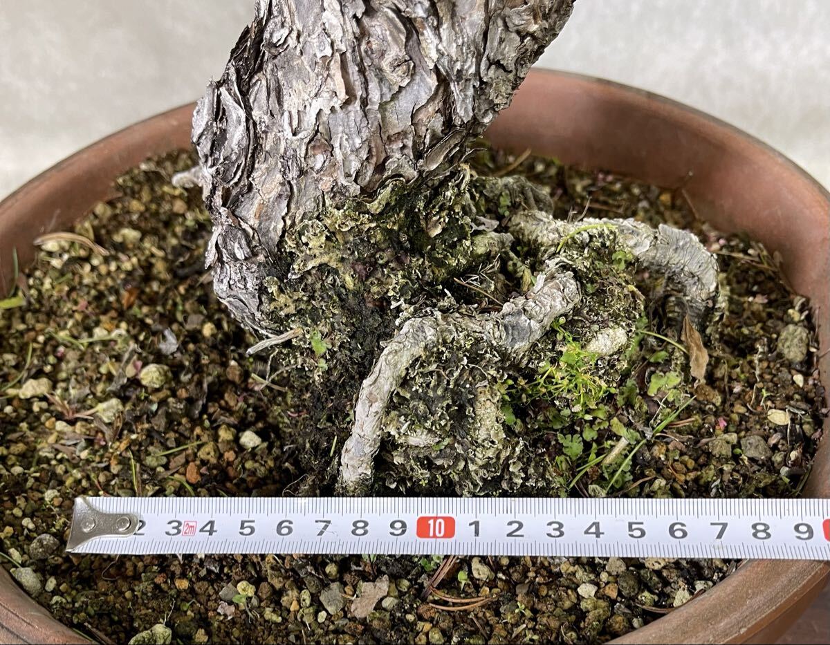 状態良いです。 木工作家 三谷龍二 山桜 23.5cm×36cm 角盆 トレイの