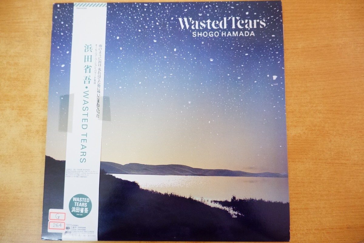 新品】未使用品 送料無料 浜田省吾 WASTED TEARS アナログ レコード LP