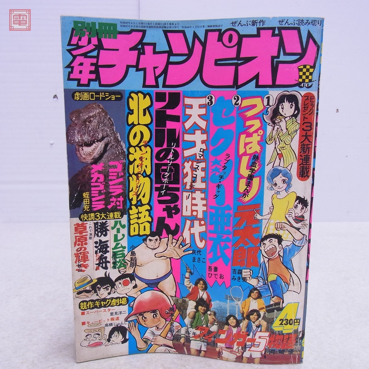AKB48 峯岸みなみ 直筆サイン入り チェキ 写真 当選品 別冊少年