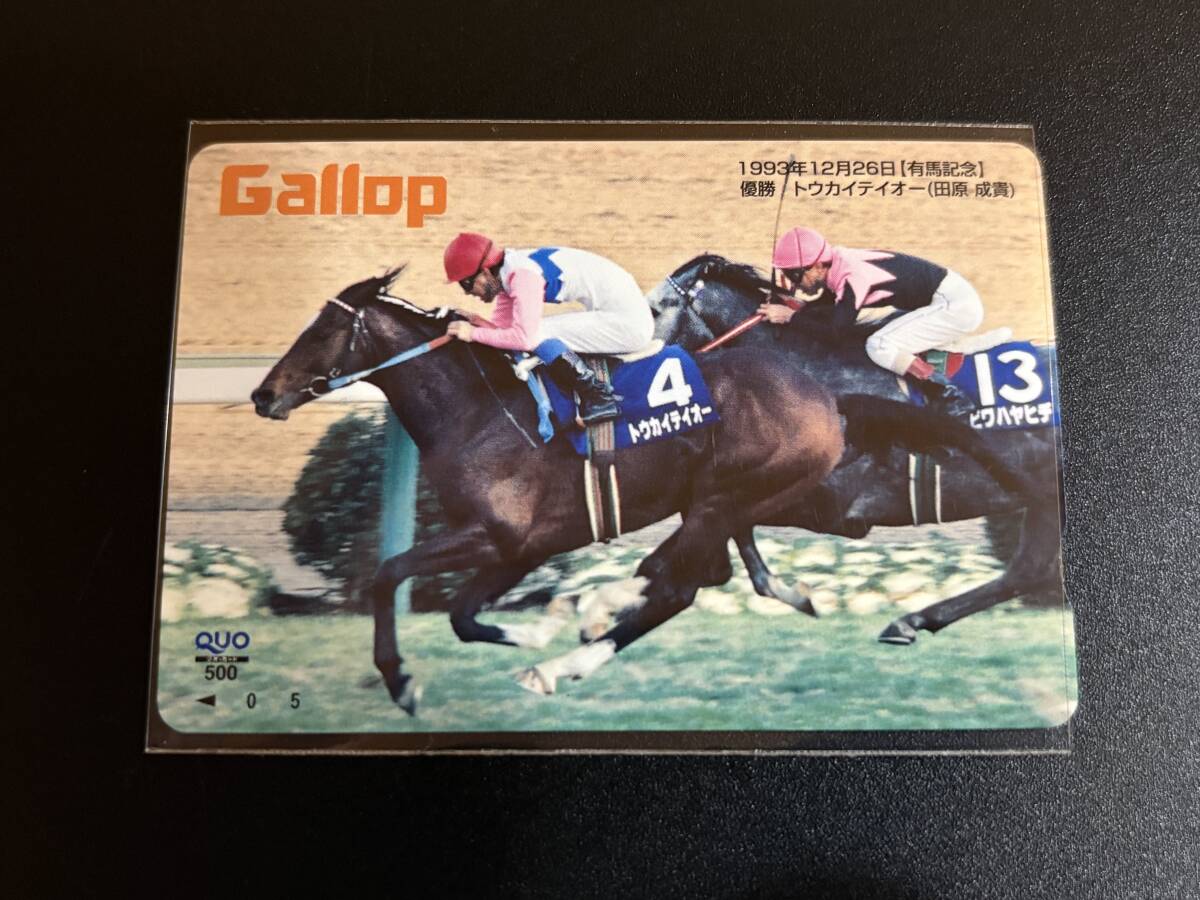目立った傷や汚れなし】引退レース トウカイテイオー 有馬記念 的中
